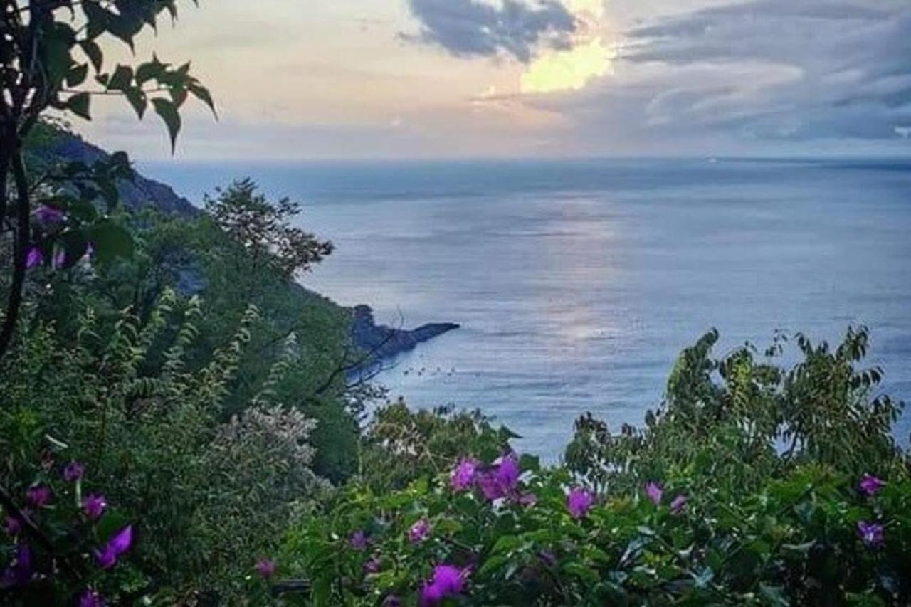 Rosablu Vacanza Tra Mare E Parco Di Portofino Camogli Exterior foto