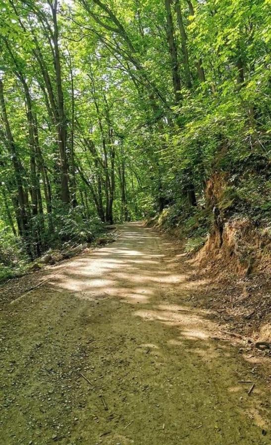 Rosablu Vacanza Tra Mare E Parco Di Portofino Camogli Exterior foto